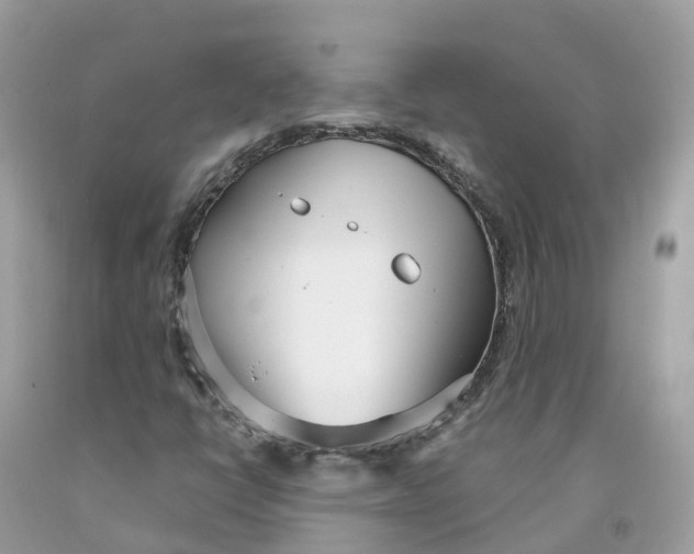 X0000091561398200709141526