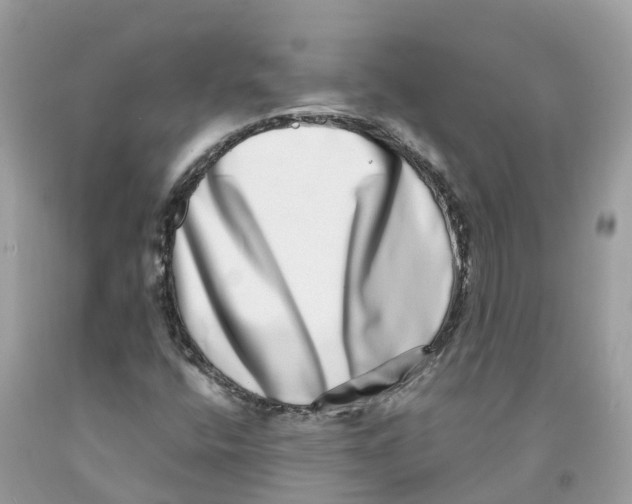 X0000091561400200709141526