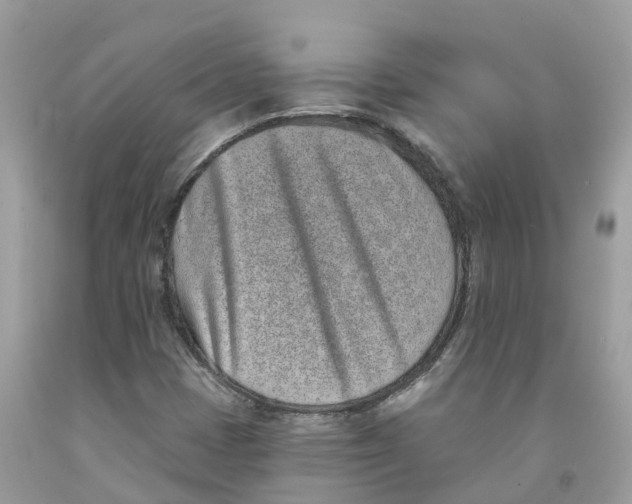 X0000091561401200709141526