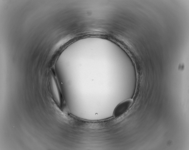 X0000091561402200709141527