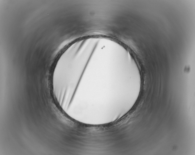 X0000091561404200709141527