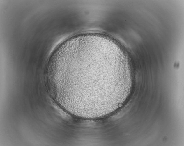 X0000091561405200709141527