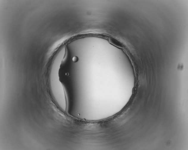 X0000091561406200709141527