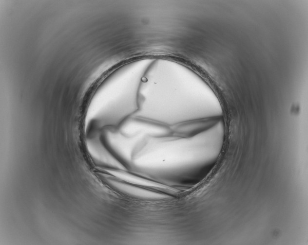 X0000091561410200709141527