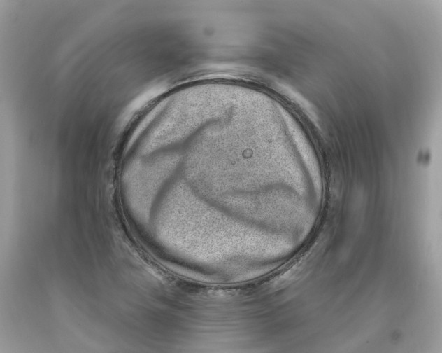 X0000091561411200709141527