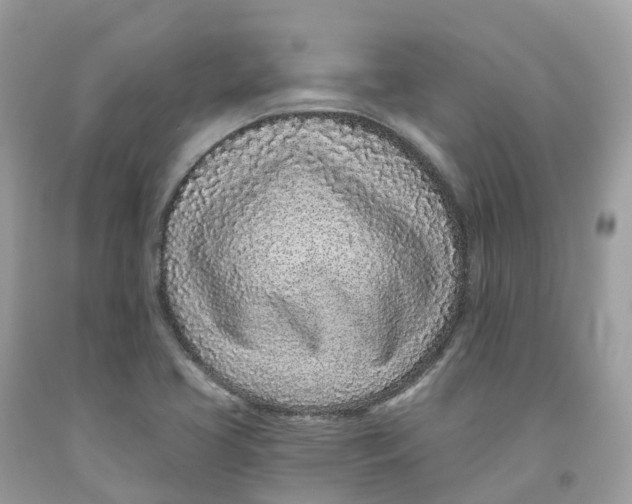 X0000091561413200709141527