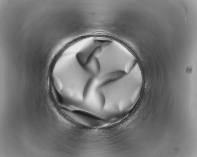 X0000091561414200709141527