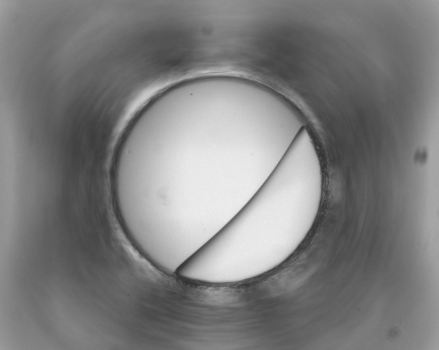 X0000091561416200709141527