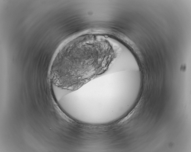 X0000091561417200709141527