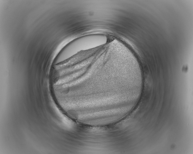 X0000091561418200709141527