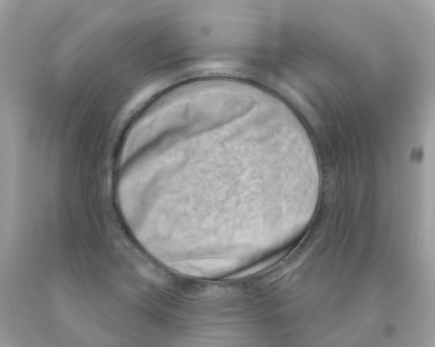 X0000091561419200709141527