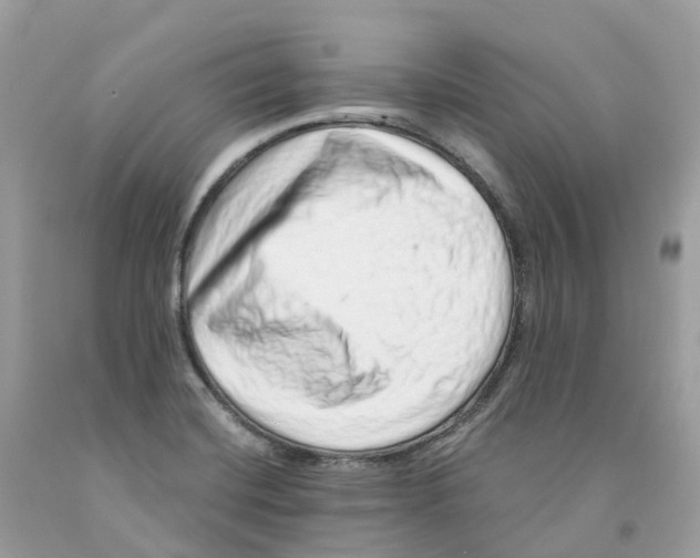 X0000091561420200709141527