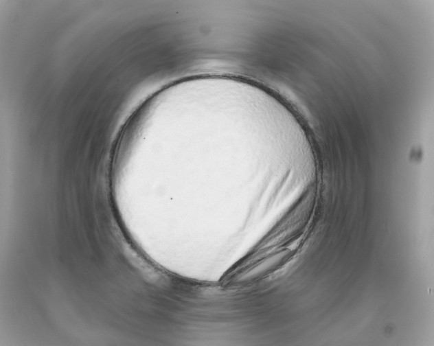 X0000091561421200709141527