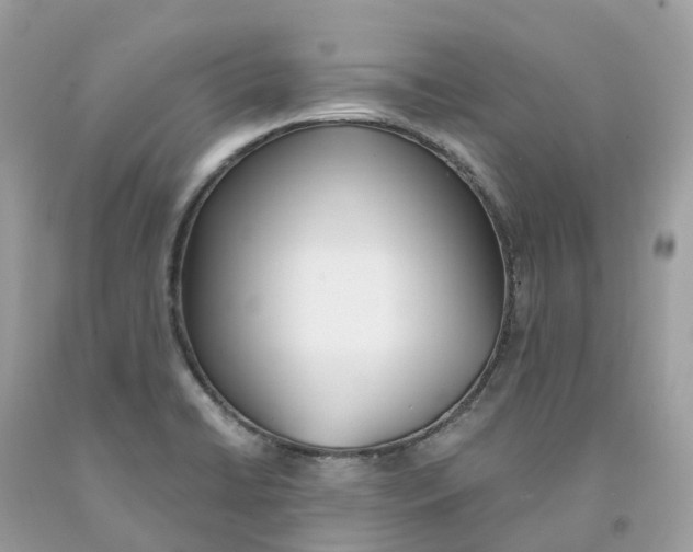 X0000091561422200709141527