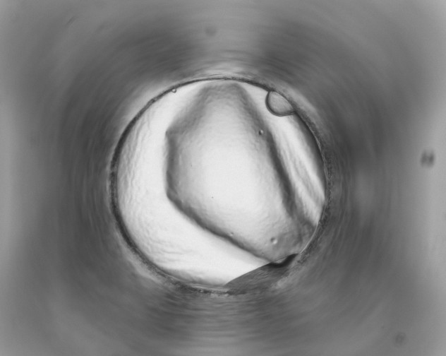 X0000091561423200709141527