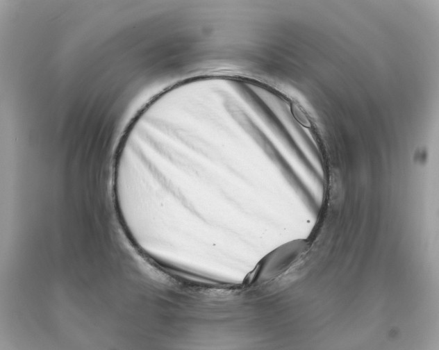 X0000091561424200709141527