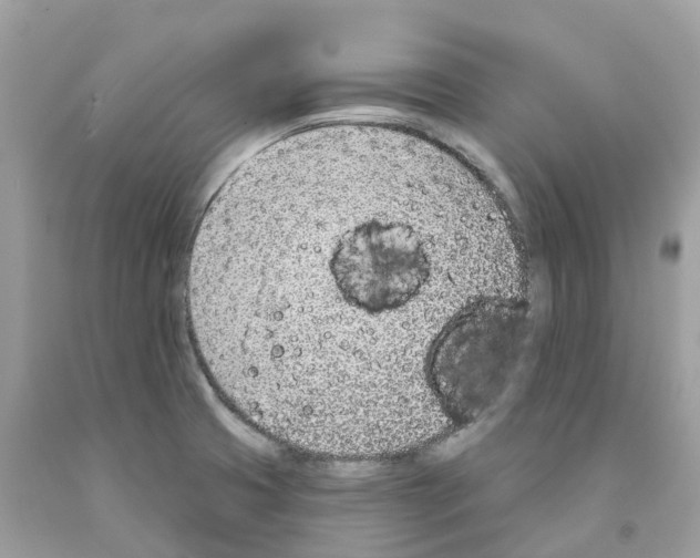 X0000091561425200709141527