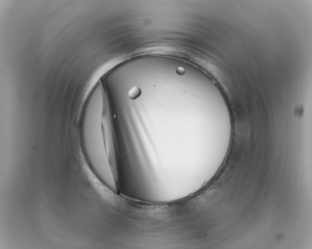 X0000091561426200709141527