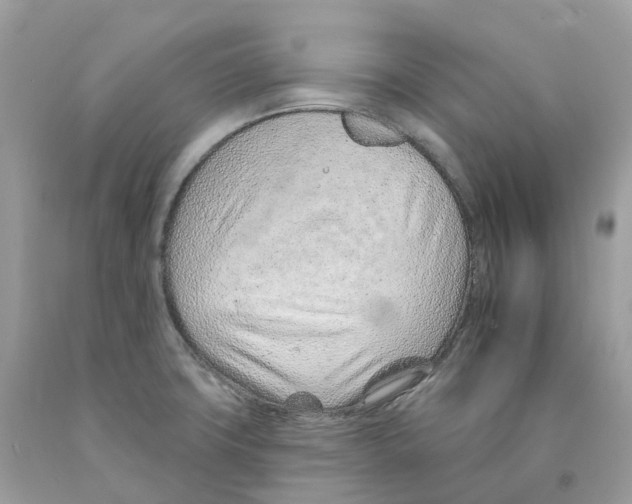 X0000091561427200709141527