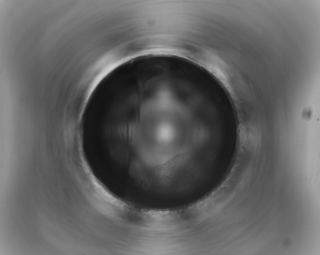 X0000091561428200709141527