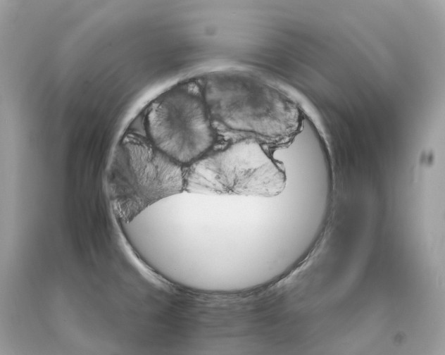 X0000091561429200709141527