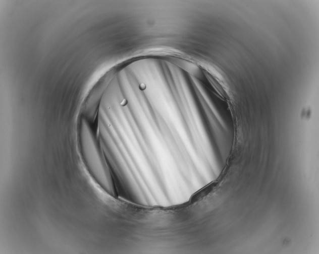 X0000091561430200709141527