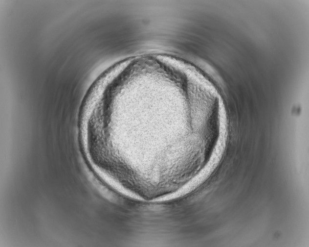 X0000091561431200709141527