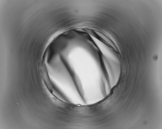 X0000091561434200709141527