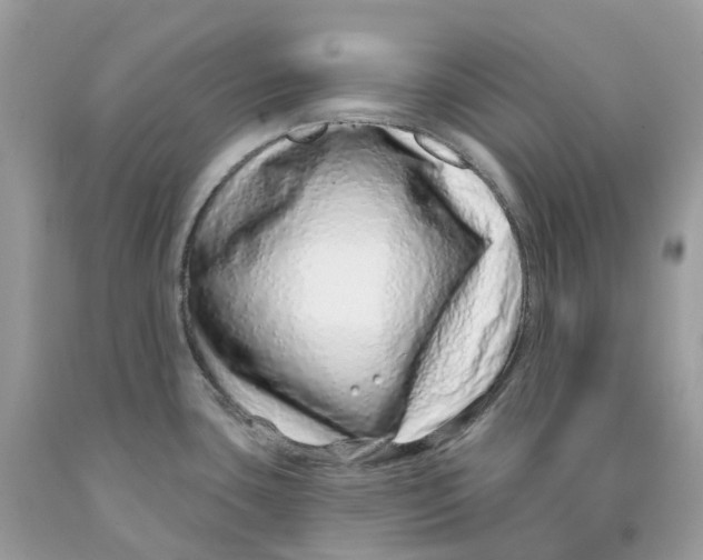 X0000091561435200709141527