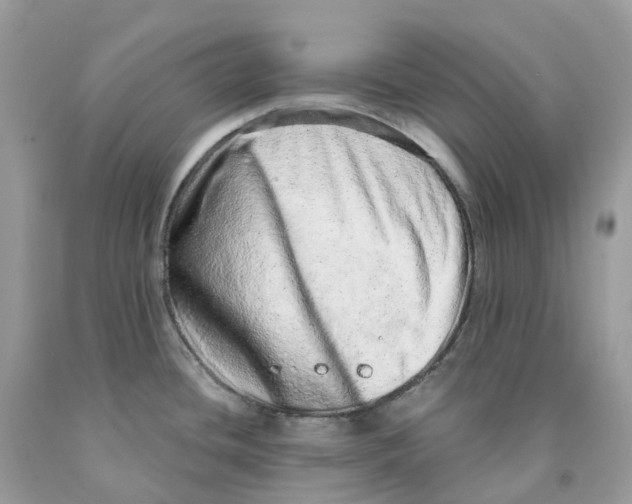 X0000091561436200709141527