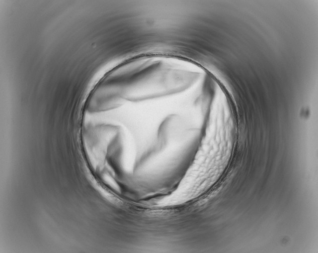 X0000091561437200709141527