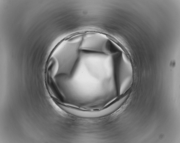 X0000091561438200709141527