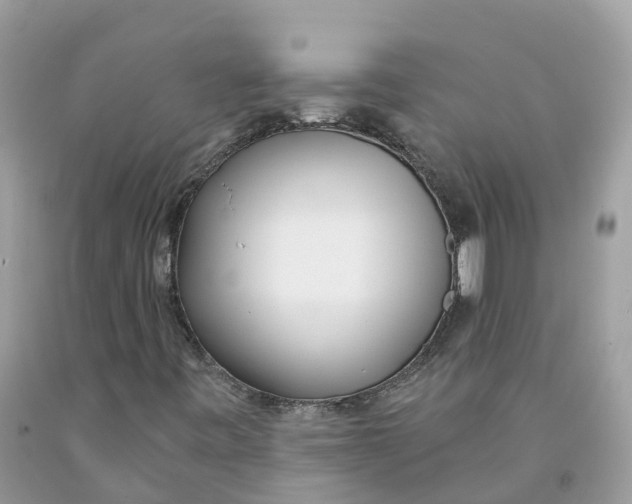 X0000091561443200709141526