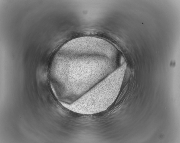 X0000091561444200709141526