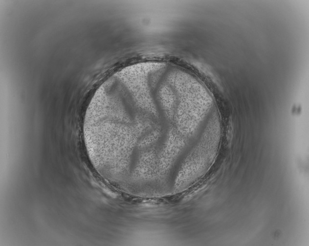 X0000091561445200709141526