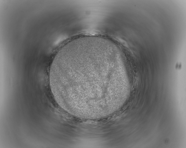 X0000091561446200709141526