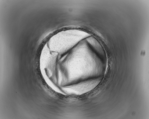 X0000091561448200709141526