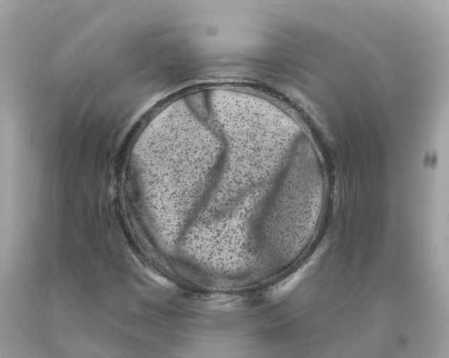 X0000091561449200709141526