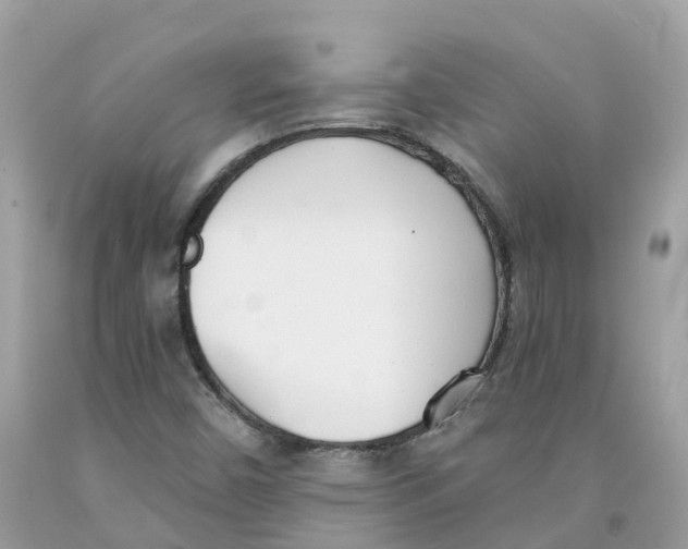 X0000091561450200709141526