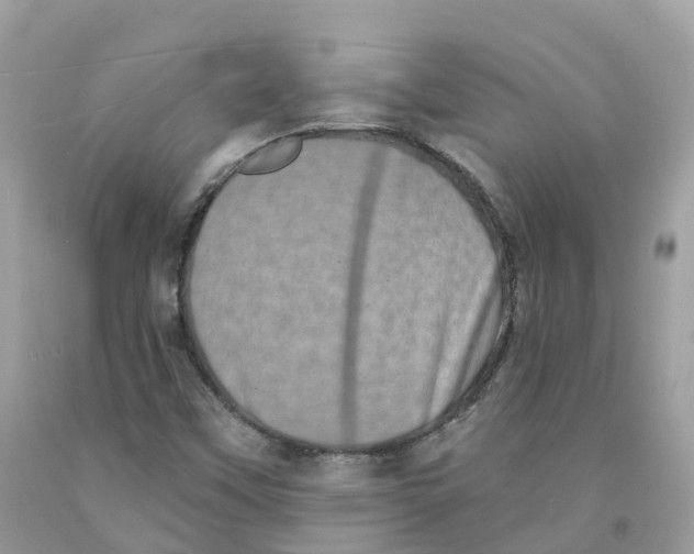 X0000091561451200709141526