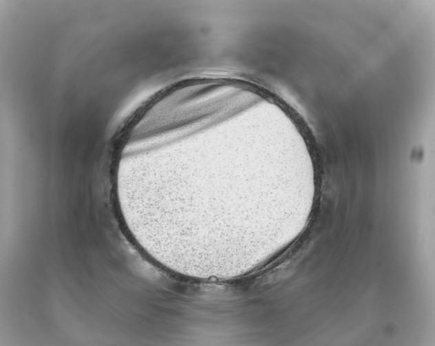 X0000091561456200709141526