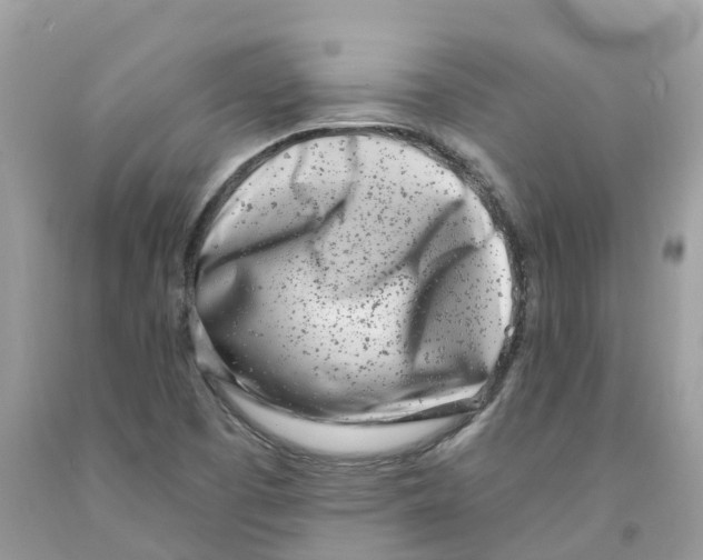 X0000091561457200709141526