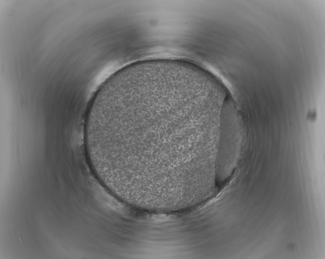 X0000091561459200709141526