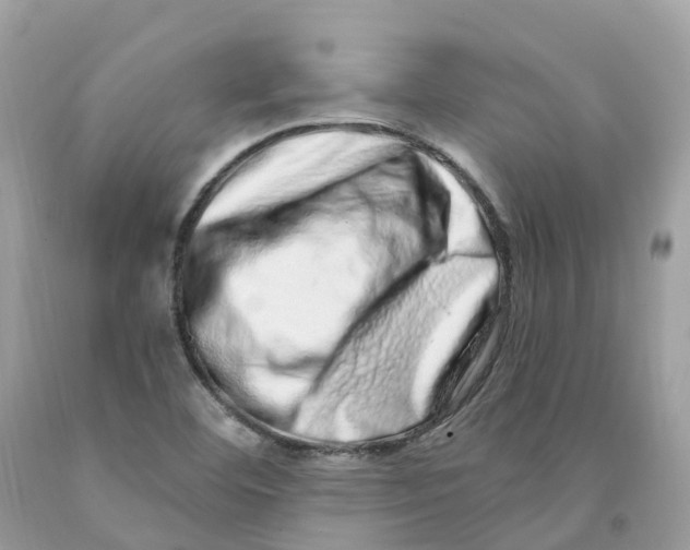 X0000091561460200709141526