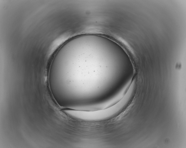 X0000091561461200709141526