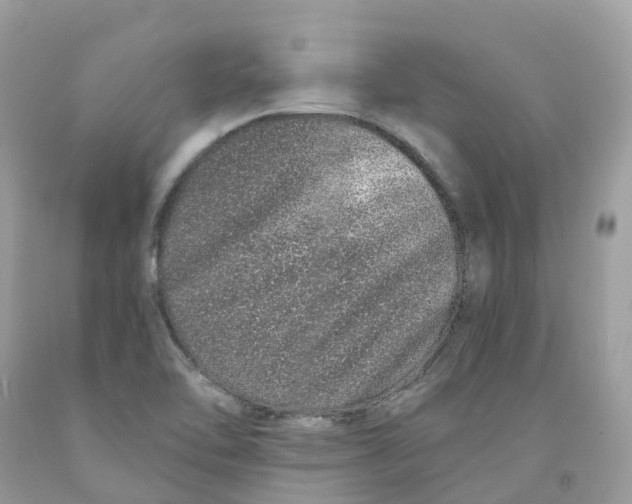 X0000091561462200709141526