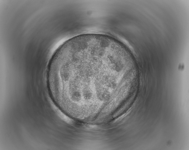 X0000091561463200709141526