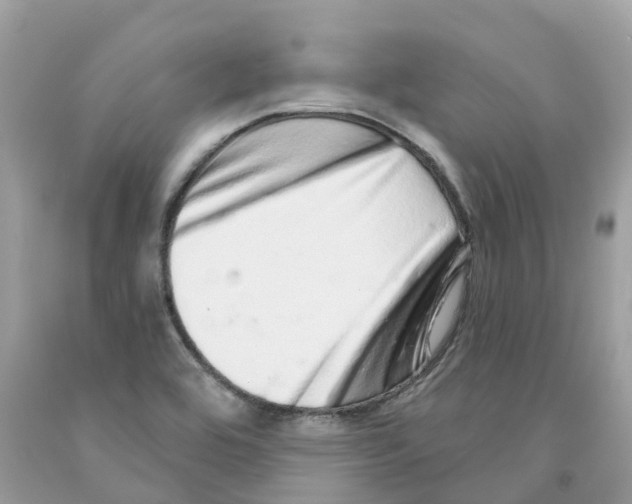 X0000091561464200709141526