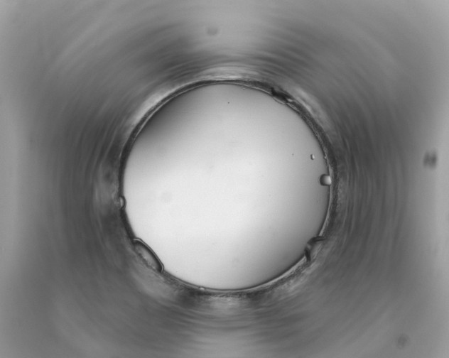 X0000091561465200709141526