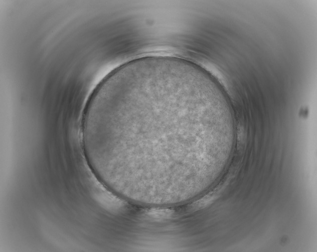 X0000091561466200709141526